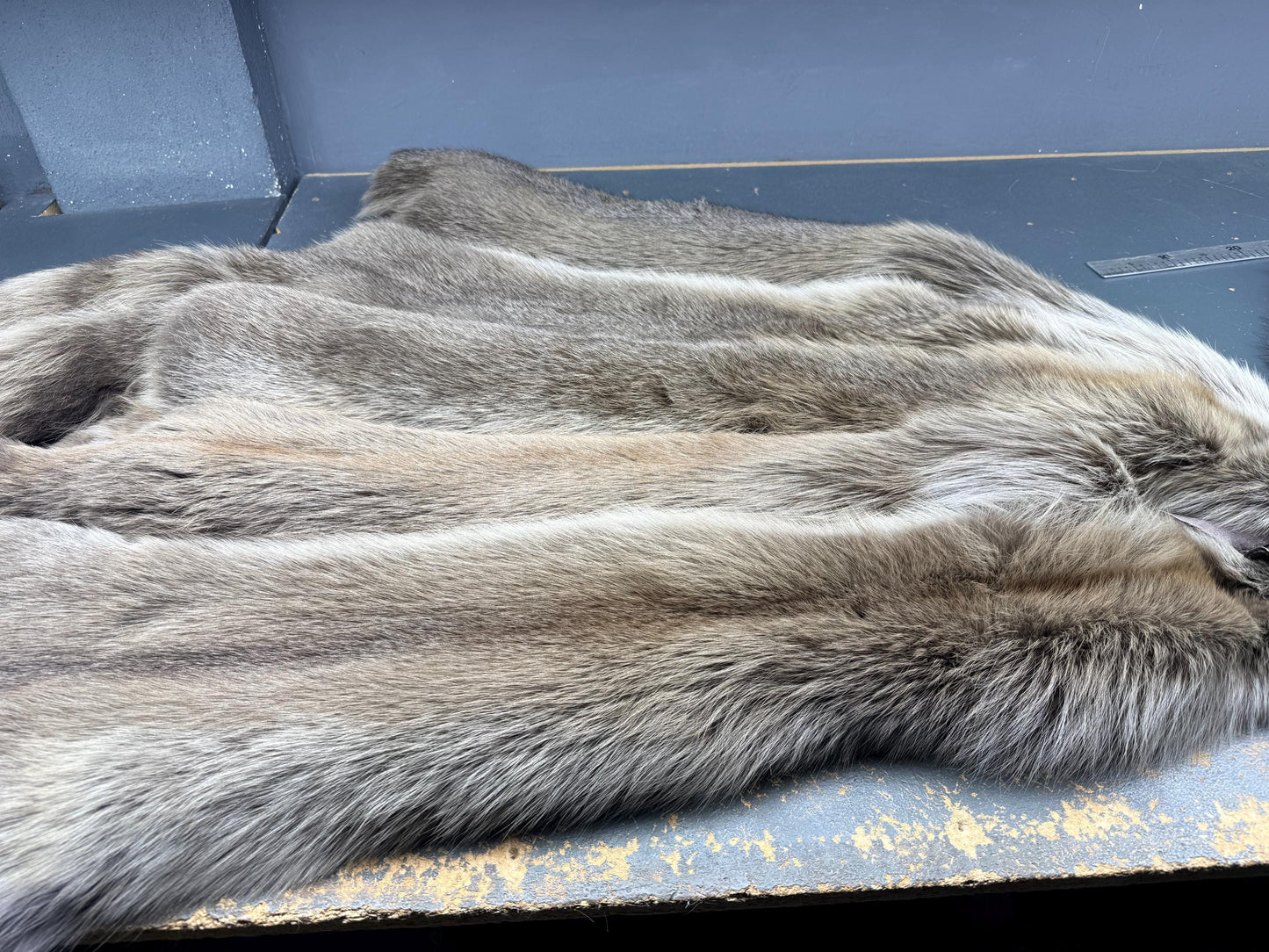 Genuine Saga Fox Fur Pelt, DIY Craft Material