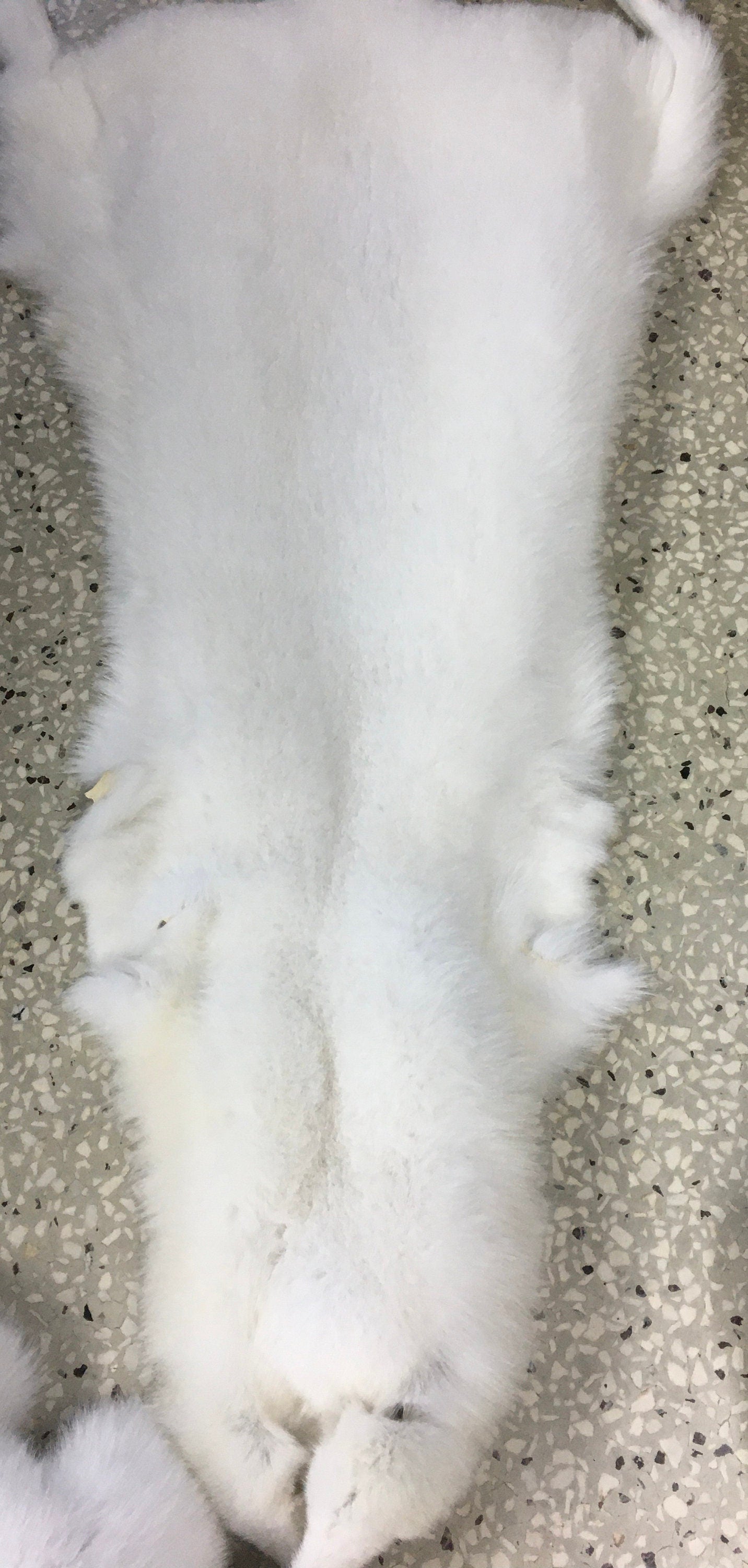 Genuine Blue Fox Fur Pelt:Saga royal white fur skin , huge size.