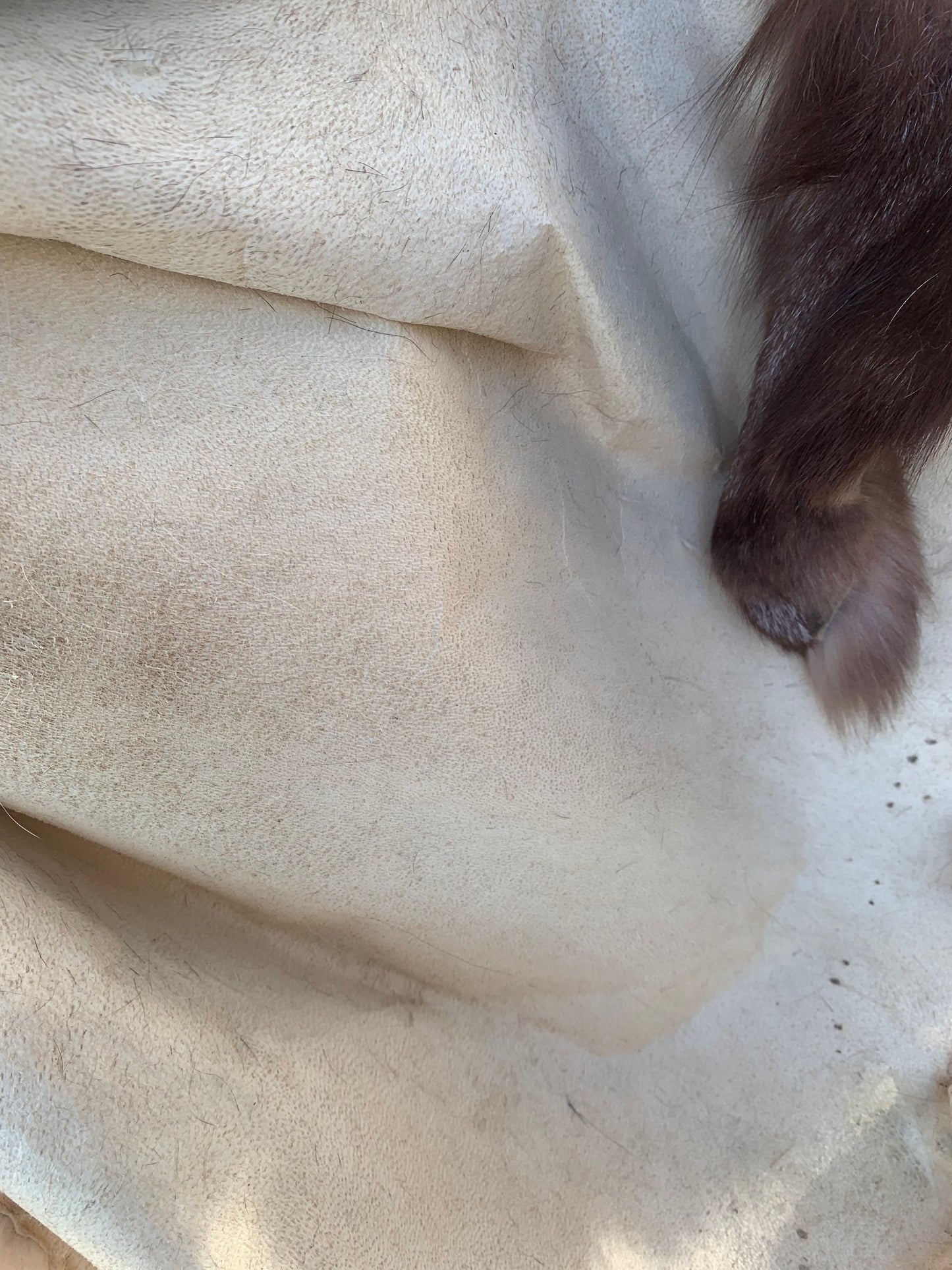 Genuine Crystal Fox Fur Pelt: Luxury DIY Craft Material, Supple Fur Stole
