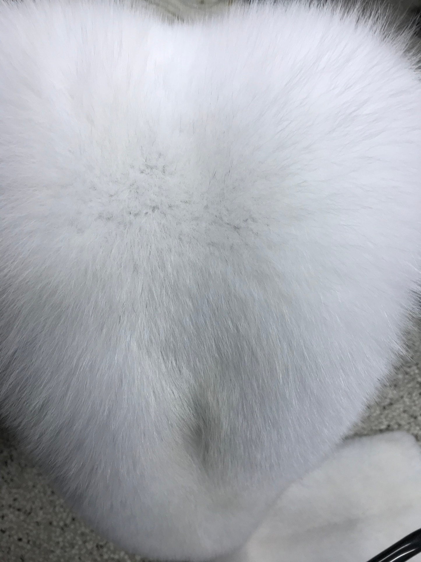 Genuine Blue Fox Fur Pelt:Saga royal white fur skin , huge size.