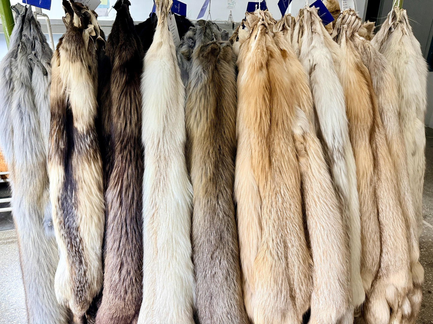Genuine Saga Fox Fur Pelt, DIY Craft Material