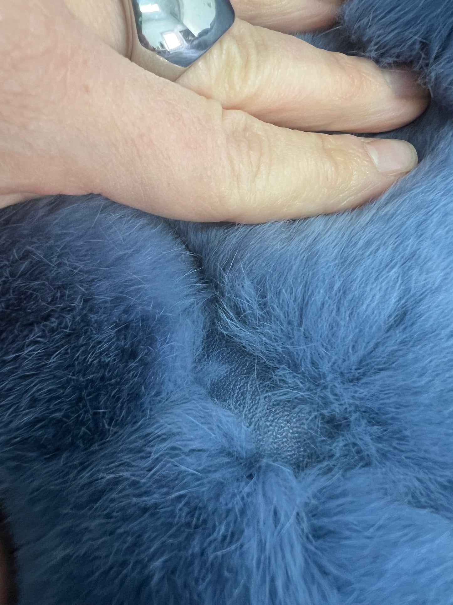 Plus Size Rex Rabbit Fur Jacket with Leather Trim