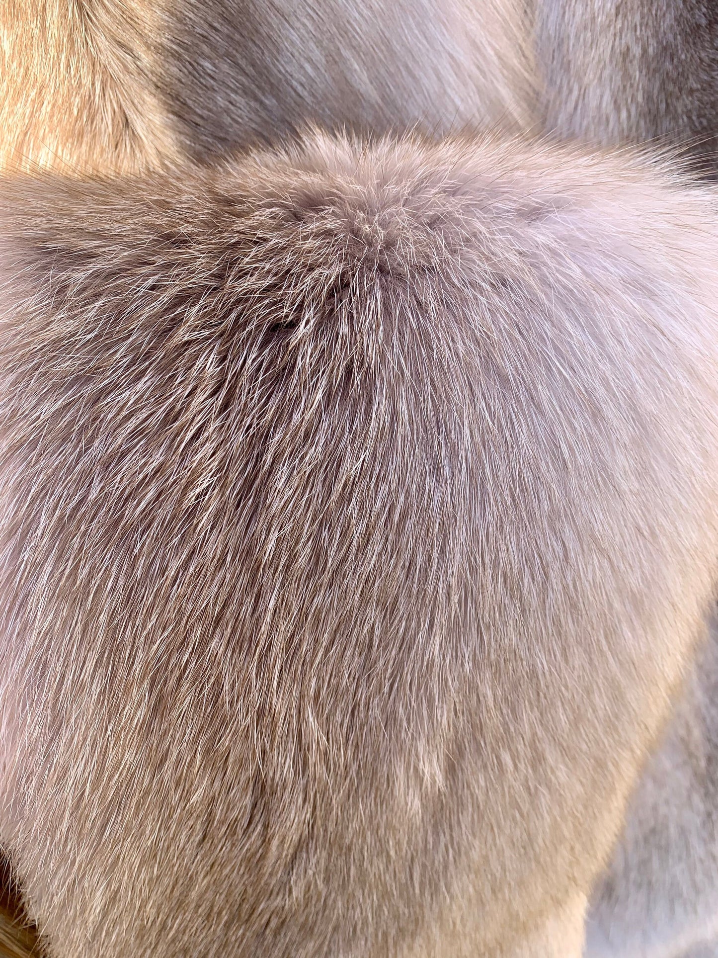 Genuine Crystal Fox Fur Pelt: Luxury DIY Craft Material, Supple Fur Stole