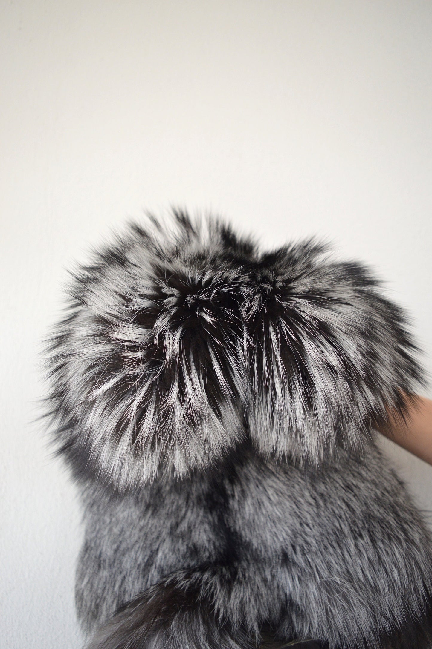 Genuine Silver Fox Fur Pelt: Luxury DIY Craft Material fox skin, Saga assured.