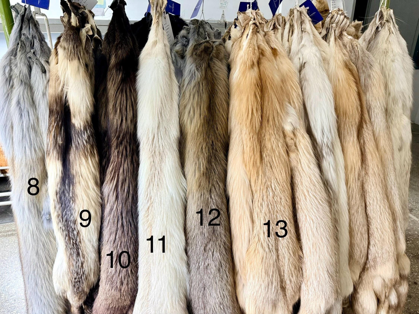 Genuine Saga Fox Fur Pelt, DIY Craft Material
