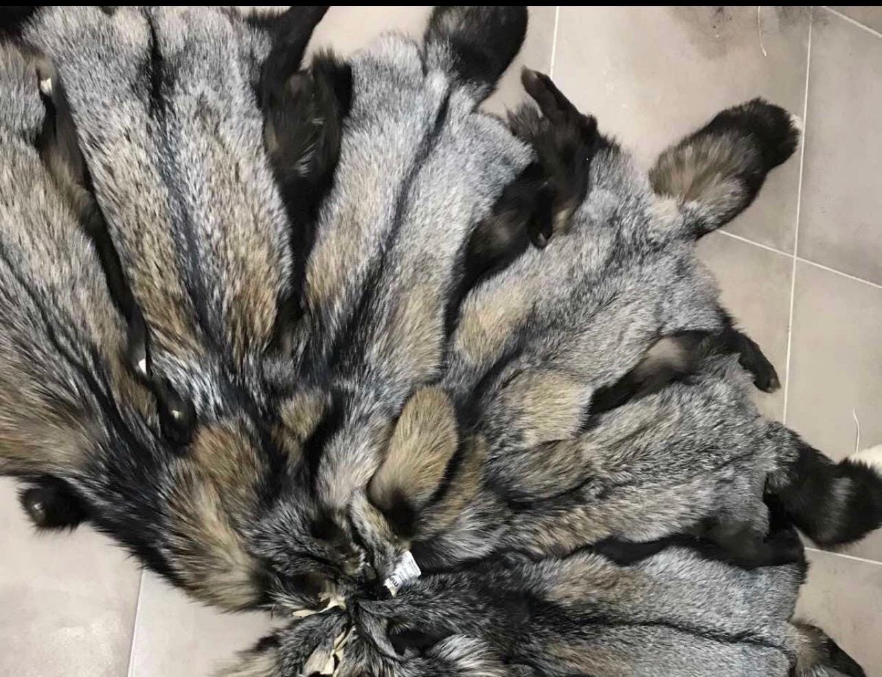 Genuine Saga Fox Fur Pelt, DIY Craft Material