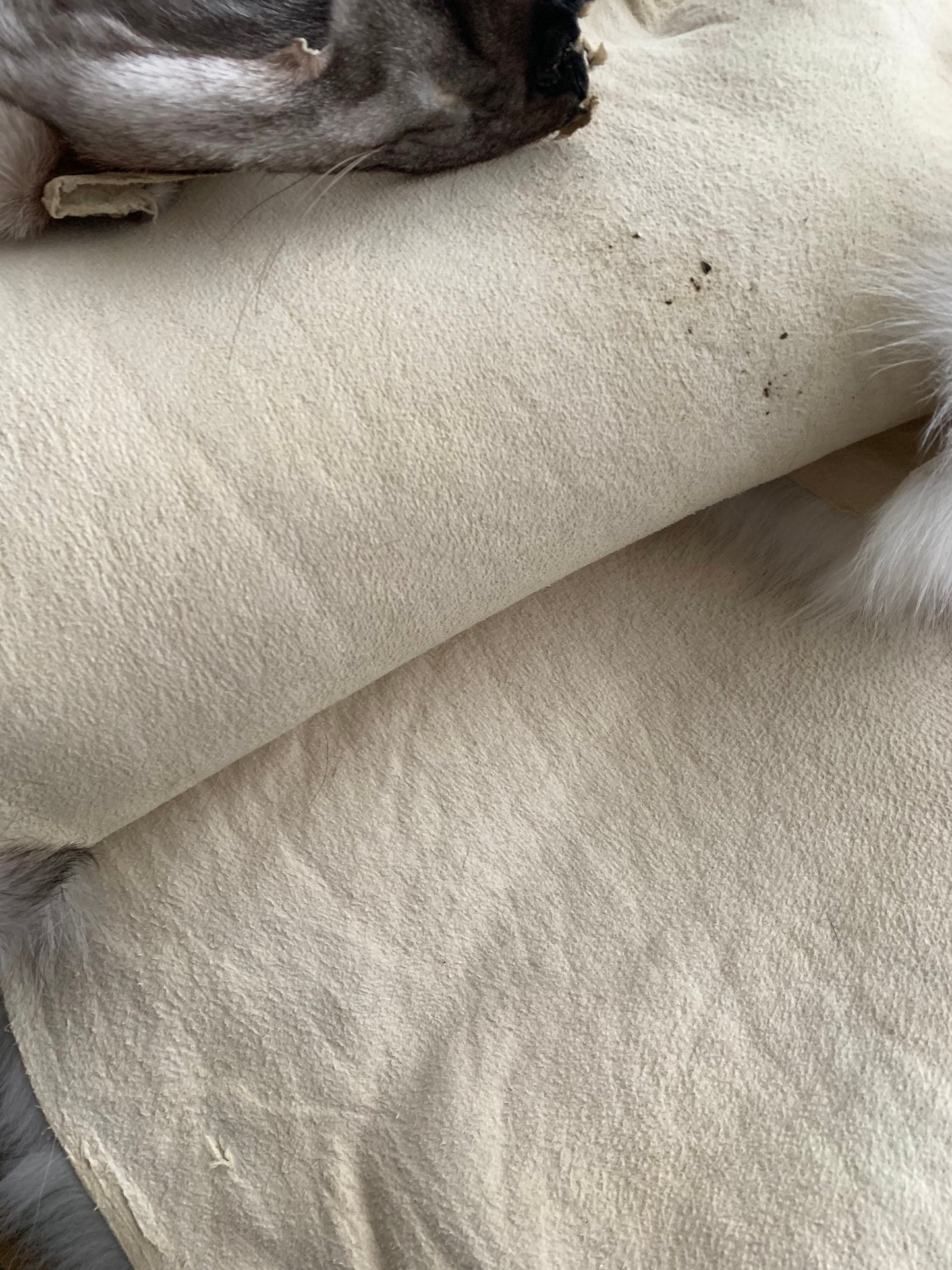 Genuine Saga Frost Fox Fur Pelt: Luxury DIY Craft Material