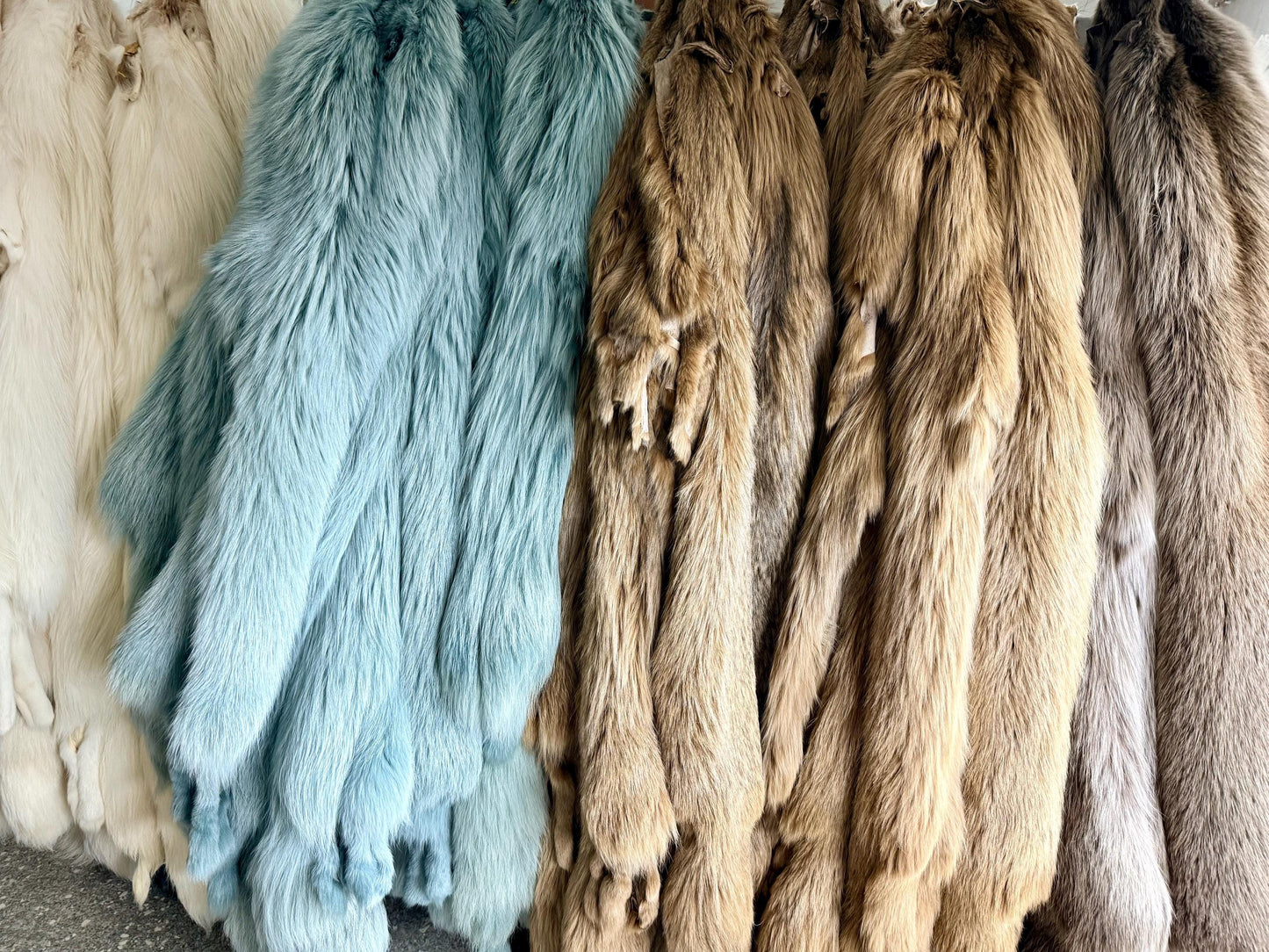 Genuine Saga Fox Fur Pelt, DIY Craft Material