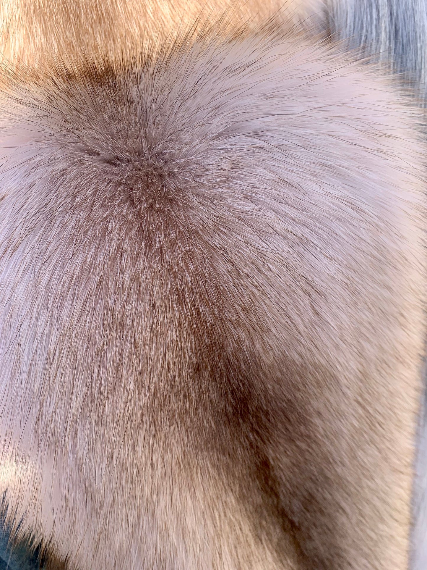 Genuine Crystal Fox Fur Pelt: Luxury DIY Craft Material, Supple Fur Stole