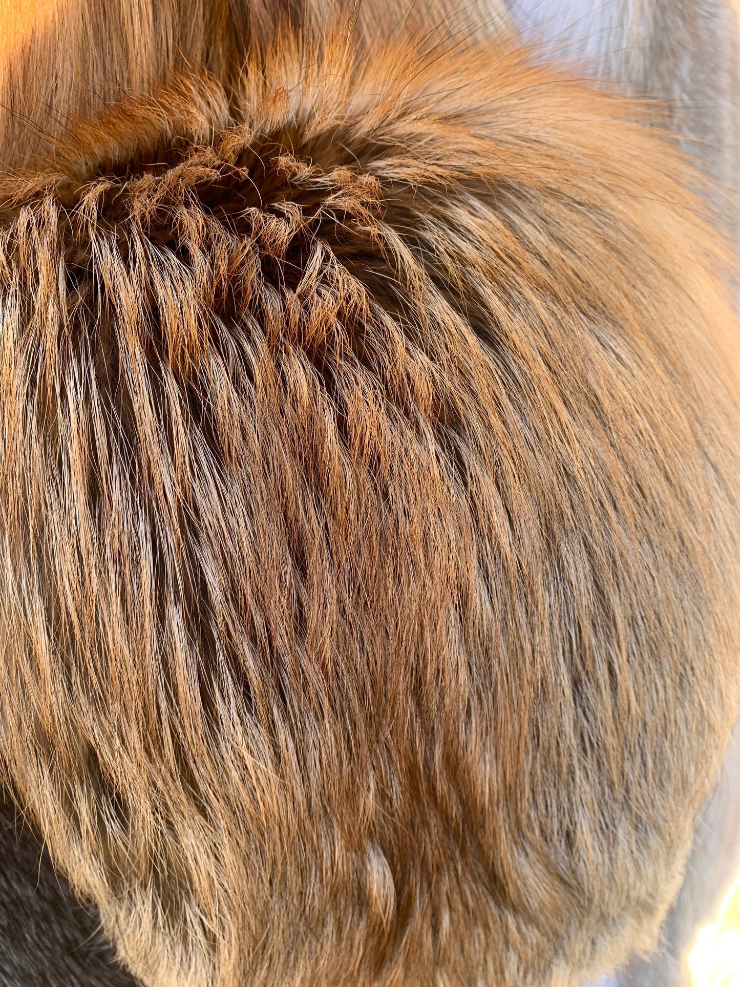 Genuine Crystal Fox Fur Pelt: Luxury DIY Craft Material, Supple Fur Stole