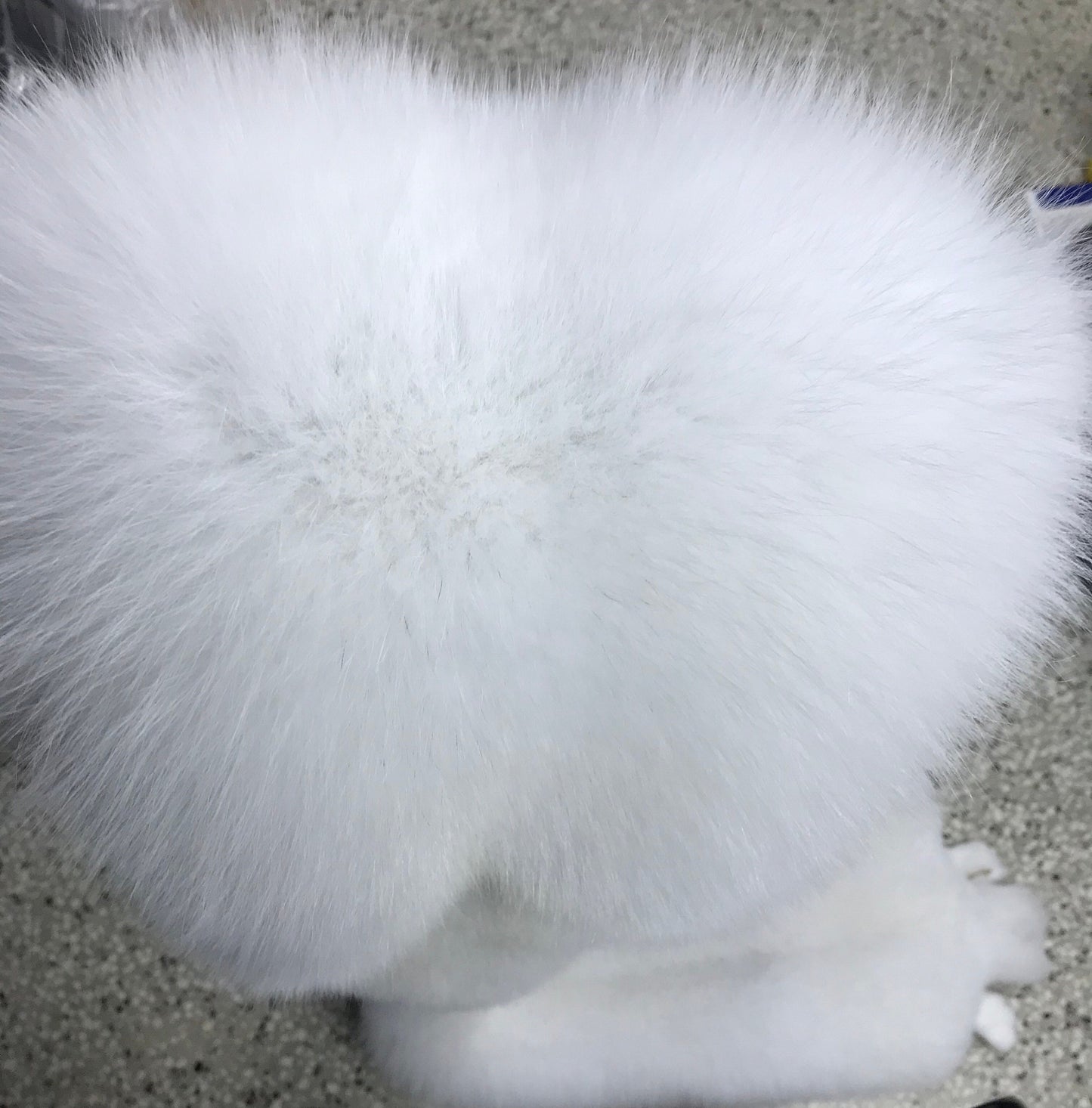 Genuine Blue Fox Fur Pelt:Saga royal white fur skin , huge size.
